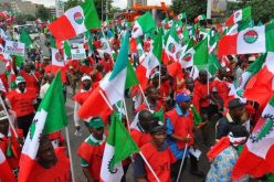 NLC calls for renewed commitment in war against terrorism, banditry