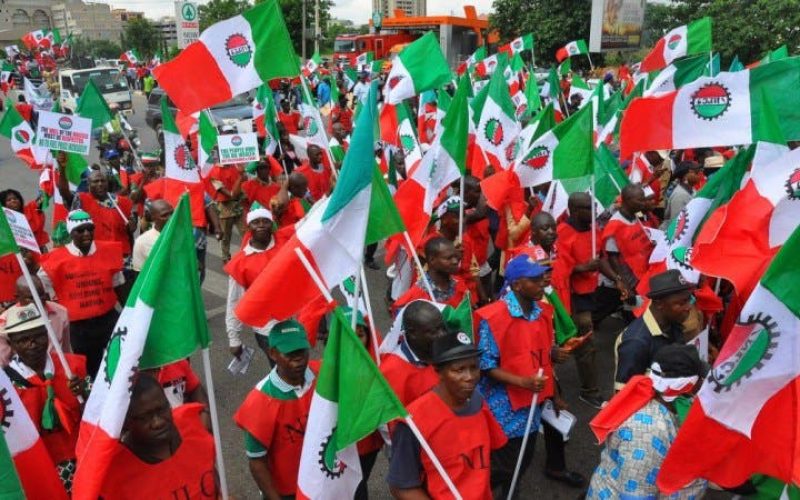 NLC calls for renewed commitment in war against terrorism, banditry