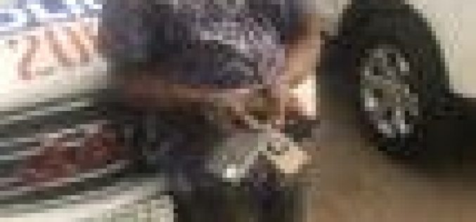 I have stolen 240 phones from commuters in 14 months – Pick pocket