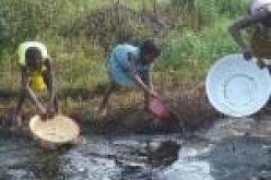 Oil spill shuts down fishing in 10 Delta communities