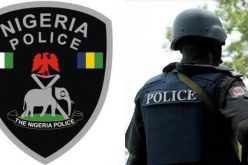 INHERITANCE DRAMA:  Widow purchases baby to claim husband’s property
