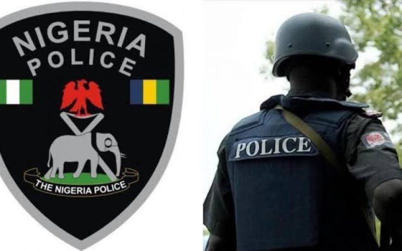 Police free abducted Bayelsa civil servant, arrest 2 kidnappers