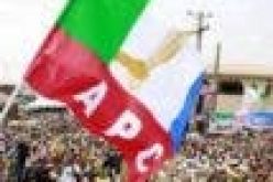 Support APC Govt efforts to fight insecurity to standstill, says DG APC Support Groups