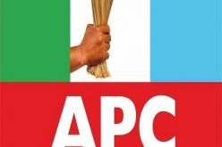 APC targets to register 1m members in Abia — Emenike