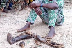 Police parade man caught with human parts in Osun