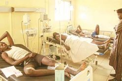 KILLING FIELDS: We can’t afford to lose 34 persons daily, 12,370 yearly to insecurity — Ikokwu, Agbakoba, Okorie, Osuntokun, Shonibare, others speak