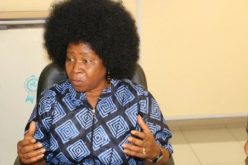 ActionAid decries poor implementation of 35% affirmative action in Nigeria