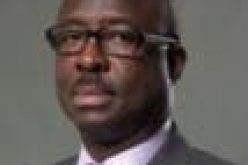 FG signs 25MW IPP agreement for Kano Free Trade Zone –Minister