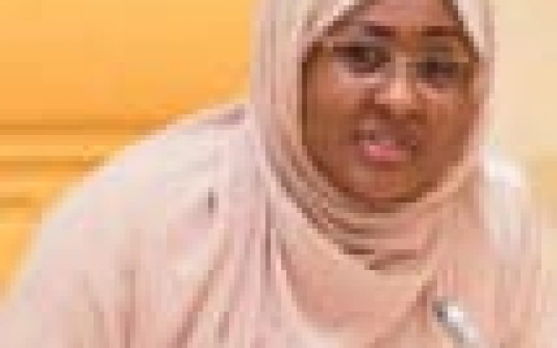 Sanwo-Olu congratulates Aisha Buhari at 50