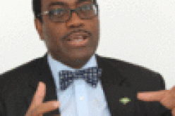 Nigerian system not federalism but fatherism ― Dr Akinwumi Adesina
