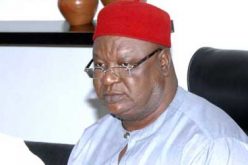 Insecurity: Military action or foreign help alone cannot bring permanent solution, Anyim tells Buhari