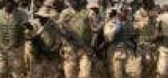 Troops kill dozens of ISWAP/Boko Haram, recover sophisticated weapon, sex enhancement drugs
