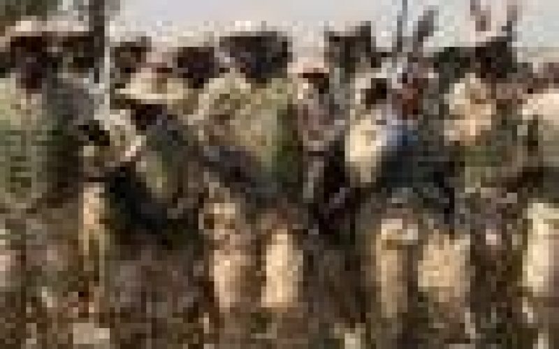 Attack on Army Base in Yobe: Troops arrest Boko Haram’s informant