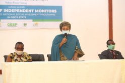 NSIP: Be diligent in your responsibilities, FG charges independent monitors