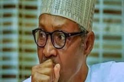 INSECURITY: Tinker with security architecture, State Assembly Speakers tell FG