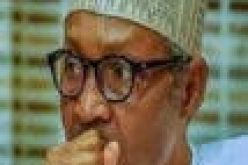 Insecurity: US Secretary of State, Blinken to meet Buhari today