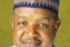 Insecurity: Bagudu embarks on peace tour of Fulani communities