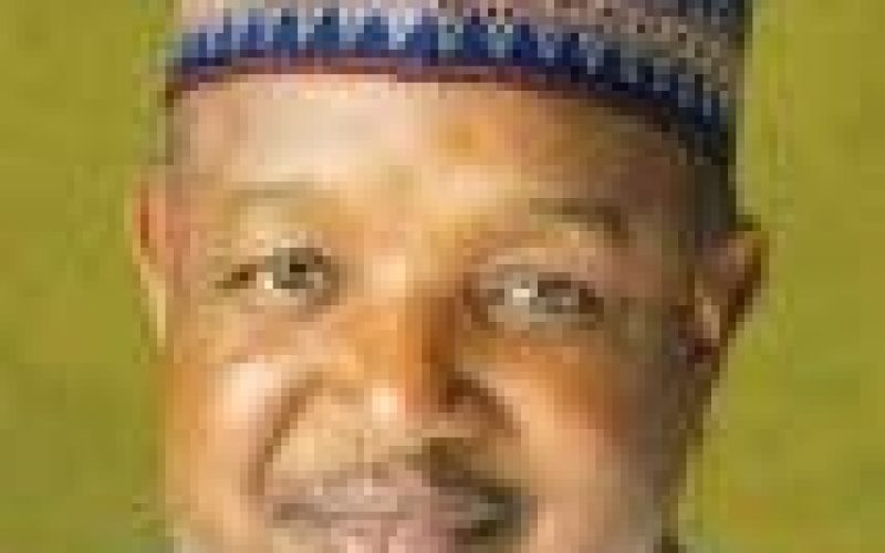 Insecurity: Bagudu embarks on peace tour of Fulani communities