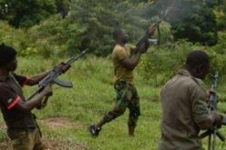 Timeline: How 1,525 Nigerians were killed in six weeks