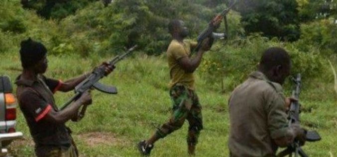 Insecurity: Embrace dialogue, Bakut urges bandits