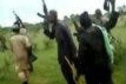 Bandits kill 31 people in separate attacks in North ― Local sources