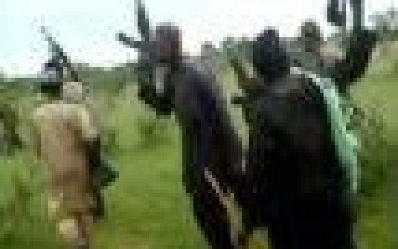 Bandits kill 31 people in separate attacks in North ― Local sources