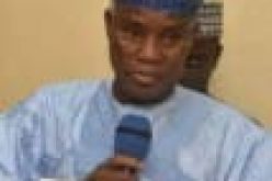 CALL ON UNARMED NIGERIANS TO DEFEND THEMSELVES:Magashi, defence minister under fire