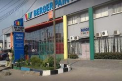 Berger Paints appoints former IFC staff non executive director