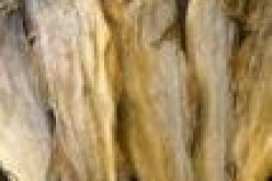 Norwegian Seafood Council kicks against CBN’s inclusion of stockfish in banned list
