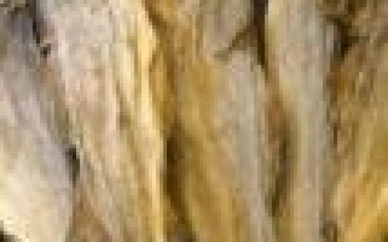 Norwegian Seafood Council kicks against CBN’s inclusion of stockfish in banned list