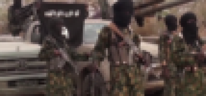 Battle of supremacy rages in Boko Haram/ISWAP camps