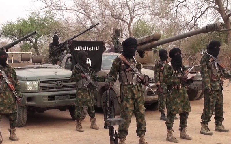 Boko Haram attacks Dikwa, abducts 7 aid workers in Borno