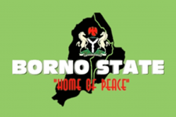 BORNO: Death toll rises to 16, over 60 injured, as survivors recount ordeals