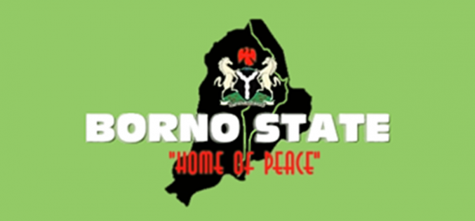 BORNO: Death toll rises to 16, over 60 injured, as survivors recount ordeals