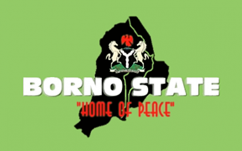 BORNO: Death toll rises to 16, over 60 injured, as survivors recount ordeals