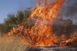 Kwara loses N27.6m property to bush burning