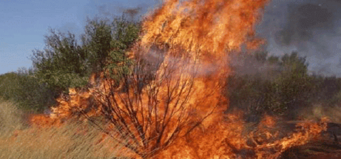 Kwara loses N27.6m property to bush burning