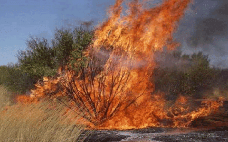 Kwara loses N27.6m property to bush burning