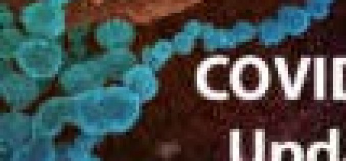 COVID-19 infection in Lagos may top Africa’s official total
