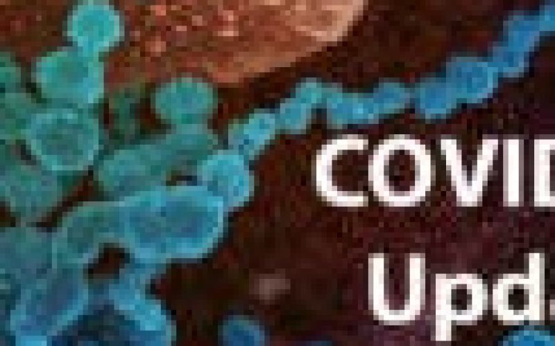 COVID-19 infection in Lagos may top Africa’s official total