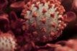 Ways to prevent your family from getting COVID-19