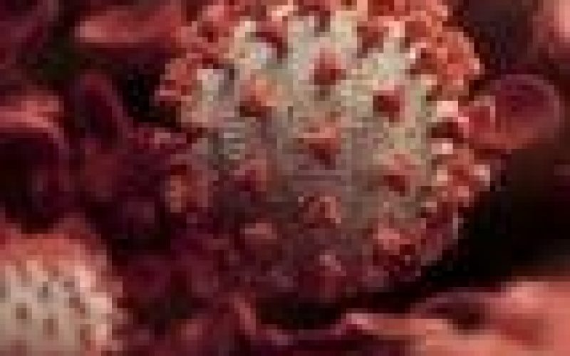 ‘New tests could halve time it takes to detect COVID-19 variants’
