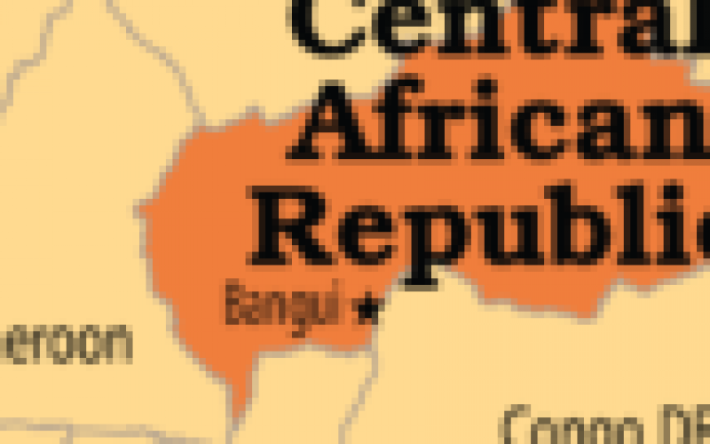 Fourteen killed at religious site in Central Africa ― Amnesty