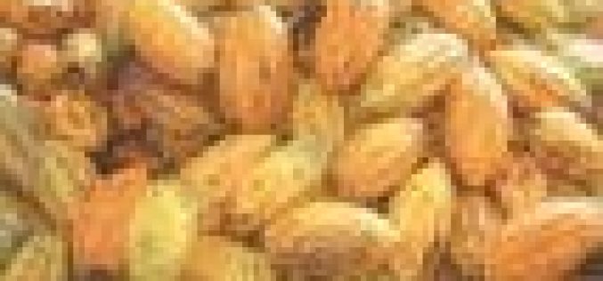 FG to boost cocoa production, export with jute bag factories