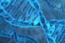 World’s oldest DNA sequenced from million-year-old mammoths