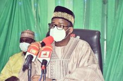 Bauchi Govt launches campaign to vaccinate 2m livestock
