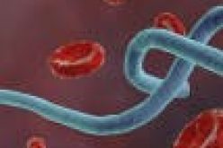 Fog delays delivery of Ebola vaccines for Guinea