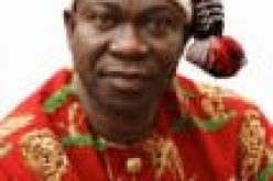 How Nigeria can create State Police in 10 Days — Ekweremadu
