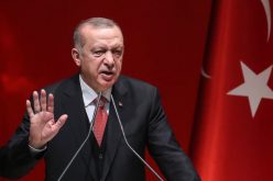 Celebrated Turkish actor risks jail for president ‘insult’