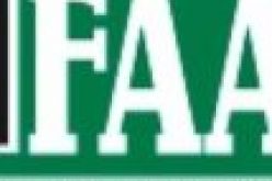 Landing incident forces temporary runway closure at MMA